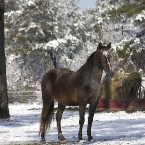 Meet your Posher, Pam